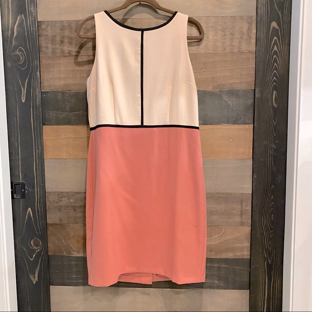 Ann Taylor Loft color block dress (Pink)